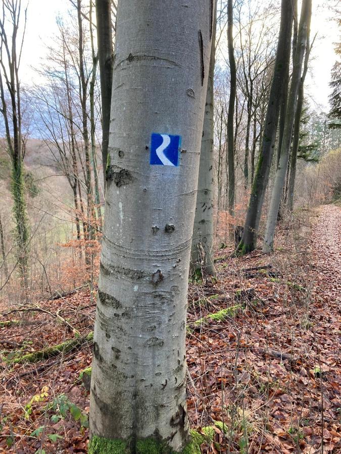 Wohnung Rhein-Wald-Und Weitsicht Rengsdorf Εξωτερικό φωτογραφία